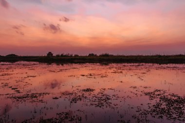 Gölün kenarında renkli, sakin bir gün batımı. Dramatik kırmızı gökyüzü. Akşam arkaplanındaki alacakaranlık gökyüzü ve bulutlar. Günbatımı nehir yansıması su. Akşam kırsal manzara. Inle Gölü üzerinde güneş ışığı olan bulutlar.