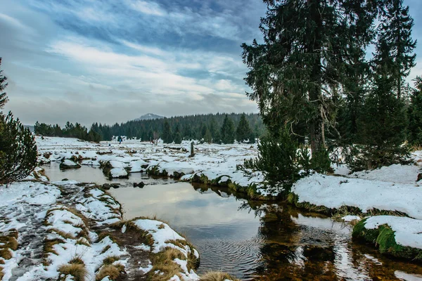 Winter Blick Auf Die Berglandschaft Frischen Kalten Bach Und Große — Stockfoto