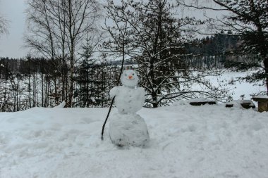 Kış parkında havuç burunlu, el yapımı komik bir kardan adam. Noel ya da Noel süsü. İyi tatiller ve kutlamalar. Çocuklar için kış manzaralı açık hava aktivitesi.