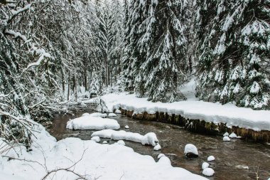 Krasna Lipa yakınlarındaki romantik Kyjov vadisi Bohemian İsviçre Ulusal Parkı, Çek Cumhuriyeti. Kayalar ve Krinice nehri arasında bisiklet yolu. Buzul şelaleleri, şarap mahzeni doğal yüzme gölü.