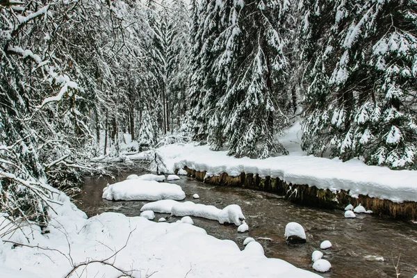 Krasna Lipa yakınlarındaki romantik Kyjov vadisi Bohemian İsviçre Ulusal Parkı, Çek Cumhuriyeti. Kayalar ve Krinice nehri arasında bisiklet yolu. Buzul şelaleleri, şarap mahzeni doğal yüzme gölü.