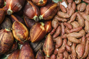 Batata tatlı patatesi protein, C vitamini, kalsiyum, magnezyum kaynağıdır. Sağlıklı beslenme. Piyasada çeşitli egzotik sebzeler.