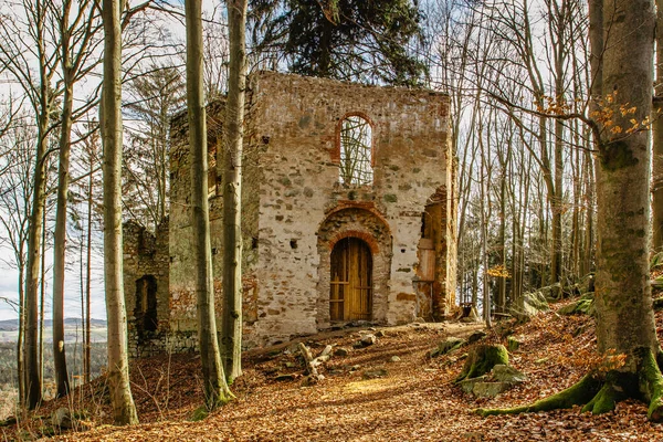 Ruins of Chapel of Saint Mary Magdalene on the hill of Maly Blanik, central Bohemia, Czech Republic.Pilgrimage place with great spruce growing within chapel walls is called Monk.Czech nature reserve.