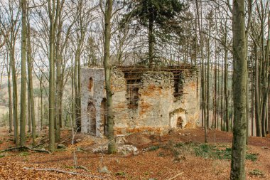 Bohemya 'nın orta kesimindeki Maly Blanik tepesindeki Aziz Mary Kilisesi' nin kalıntıları. Kilisenin duvarları içinde büyüyen büyük ladin ile dolu bir hac yeri. Çek doğa koruma alanına Keşiş denir..