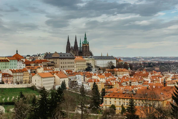 Scénická Panorama Pražského Hradu Katedrály Víta Malé Strany Hlavní Město — Stock fotografie