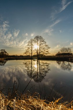 Güneşin batışında yalnız ağaçla birlikte kırsal ilkbahar manzarası. Huzurlu ve uygun bir atmosfer meditasyon için. Şafak vakti yalnız ağaç silueti.