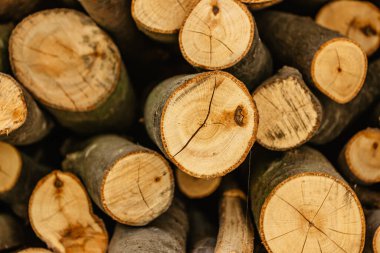 Ahşap doku seçici bir odak noktası. Yakacak odun yığını. Kış için depolanmış odun yığınları. Orman duvarı. Ahşap arka plan. Kuru odun deposu. Kırsal kesimde ısıtma hazırlığı