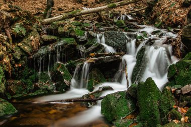 Çek Cumhuriyeti, Orlicke Dağları 'ndaki küçük nehir akıntıları. Uzun pozlu su. Taze bahar dağı manzarası. Dokunulmamış Çek doğası. Vahşi ormanın derinliklerindeki bir dağ deresinde hareket bulanık su.