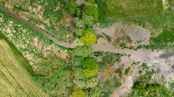 Aerial Fresh Spring Landscape Stunning View Green Trees Meadow Stream — Zdjęcie stockowe