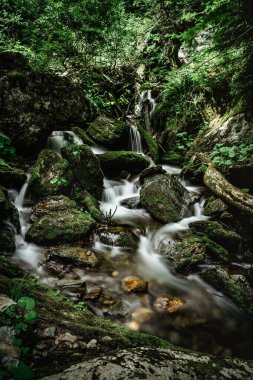 Bila Opava nehrindeki şelaleler, Jeseniky Dağları, Çek Cumhuriyeti. Derin vadi, yemyeşil orman, sayısız çağlayanlar, kaya oluşumları ve romantik alan. Vahşi dağ akıntısı uzun süre hareketli su akıntısına maruz kalır..