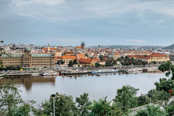 Вид Город Парка Летна Чешская Панорама Пасмурный Дождливый День — стоковое фото