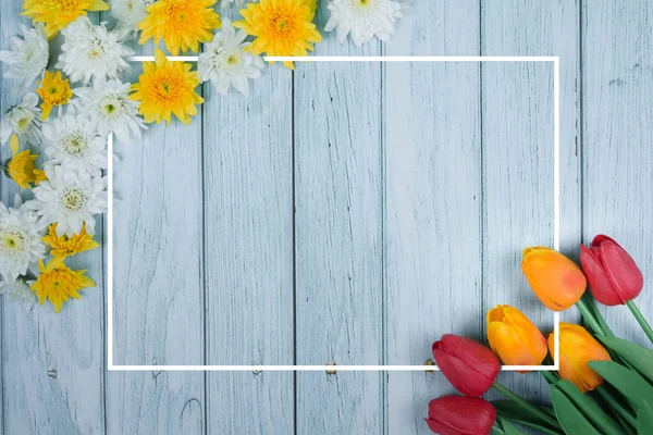 Colección Papel Pintado Flores Primavera Con Crisantemo Blanco Amarillo Tulipán — Foto de Stock