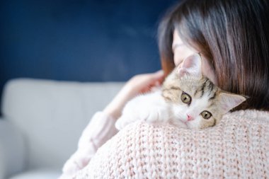 Kadın el oyunu ve İskoç tekir kedisini almak.