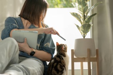 Asyalı kadın kedisiyle oynuyor, tablet toplantısını kullanıyor ve evden çalışıyor.