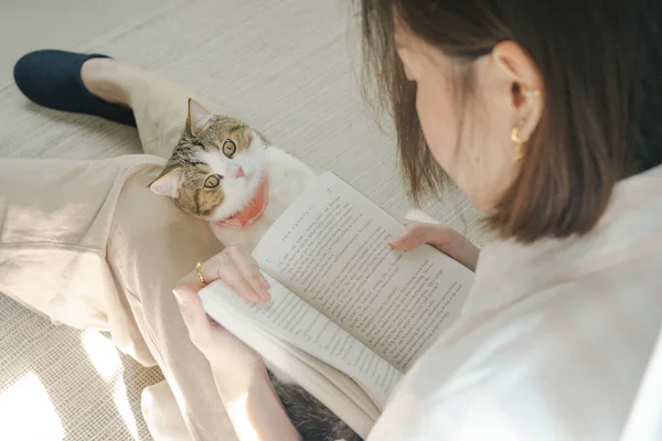 Hala evde Asyalı bir kadının kitap okuması ve kedisiyle oturma odasında oynaması konseptinde.