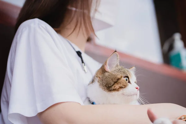 Mulher Asiática Usando Máscara Protetora Sentar Jogar Com Seu Gato — Fotografia de Stock