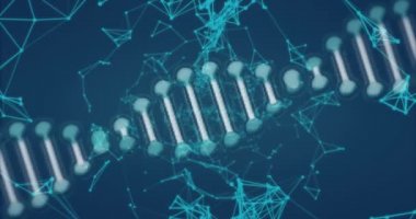 DNA iplikçikli dijital arayüz animasyonu ve mavi arkaplandaki bağlantı ağı. Dijital olarak oluşturulan küresel bilgisayar ağı teknolojisi kavramı.