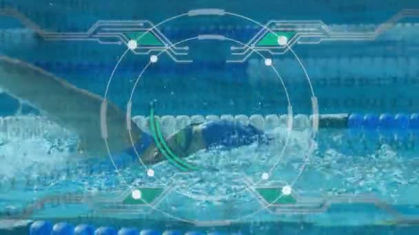 Animación Interfaz Digital Con Alcance Procesamiento Datos Sobre Mujeres Nadando — Vídeos de Stock