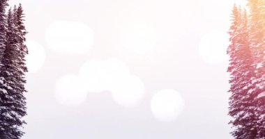 Işık noktaları ve karla kaplı köknar ağaçlarıyla kış manzarasının animasyonu. Dijital ortamda oluşturulan noel kutlaması.