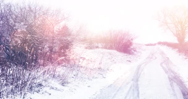 Animación Paisaje Con Paisajes Invernales Árboles Carretera Cubierta Nieve Navidad — Vídeo de stock