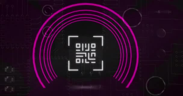 Animatie Van Gloeiende Code Met Roze Neon Cirkel Elementen Roze — Stockvideo