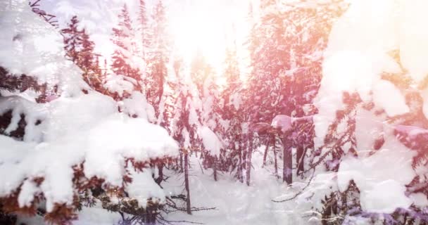 Animation Der Landschaft Mit Winterlandschaft Und Schneebedecktem Tannenwald Weihnachten Winter — Stockvideo