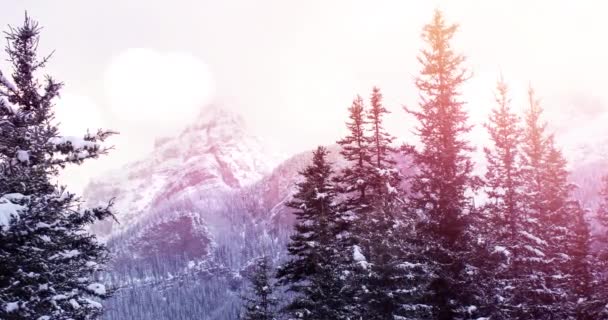 Animatie Van Winter Landschap Met Lichte Vlekken Bergen Sparren Bomen — Stockvideo