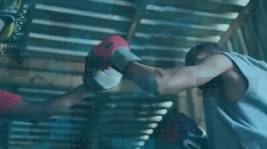 Erkek antrenör boksu ile erkek boksör üzerinde istatistik tarama ve veri işleme ile dijital arayüzün animasyonu. Dijital olarak oluşturulan küresel bilgisayar ağı teknolojisi kavramı.