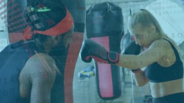 Dijital arayüzün animasyonu istatistik taraması ve kadın boksörle erkek antrenör boksörünün veri işlemesi. Dijital olarak oluşturulan küresel bilgisayar ağı teknolojisi kavramı.