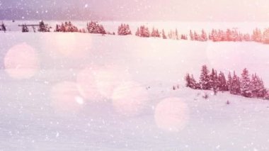 Ağaçlarla kaplı kış manzarasına düşen kara karşı ışığın dijital animasyonu. Noel kutlaması geleneği
