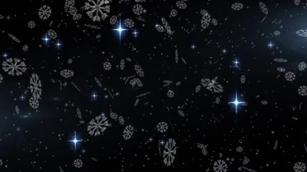 Digital Animation Snöflingor Faller Mot Lysande Stjärnor Natthimlen Jul Festlighet — Stockvideo