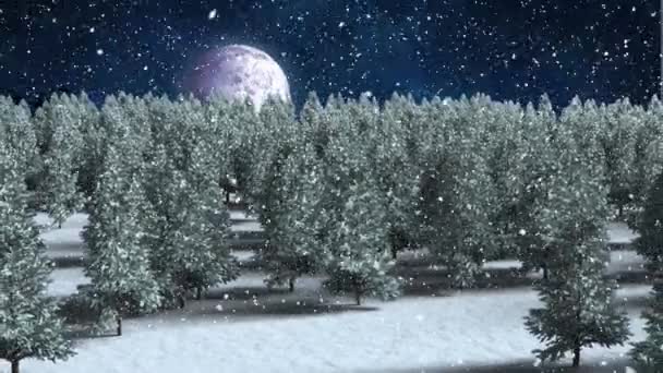 冬の風景の木々の上に降る雪のデジタルアニメーションや 夜空に月に対してトナカイが引く雪のサンタクラスの黒いシルエット クリスマスお祝いの伝統的なコンセプト — ストック動画