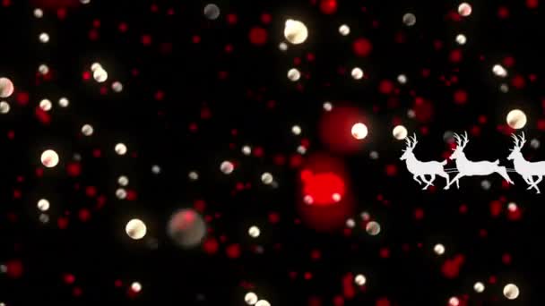 雪橇上的桑塔爪轮廓的数字动画被驯鹿拉在黑色背景上的白色和红色光斑上 圣诞节庆祝活动的传统概念 — 图库视频影像