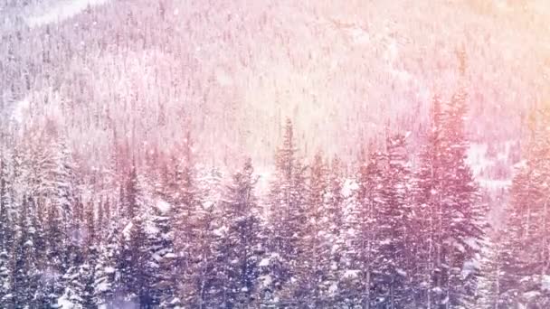 Animazione Digitale Posti Luce Contro Neve Che Cade Sopra Paesaggio — Video Stock