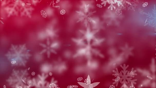 Digitální Animace Sněhových Vloček Pohybujících Červeném Pozadí Vánoční Slavnostní Tradiční — Stock video