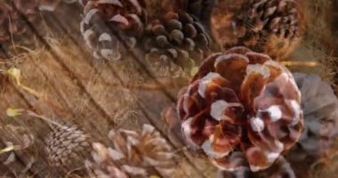 Sarı ışıklar ve çam kozalaklarıyla Noel dekorasyonunun animasyonu. Noel mevsimleri şenlik kutlaması konsepti dijital olarak oluşturuldu.