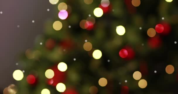 Κινούμενο Σχέδιο Τρεμοπαίζει Νεράιδα Φώτα Στο Χριστουγεννιάτικο Δέντρο Στο Παρασκήνιο — Αρχείο Βίντεο