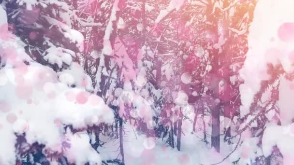 Ψηφιακή Σύνθεση Ροζ Φωτεινών Κηλίδων Κατά Του Χιονισμένου Τοπίου Δέντρα — Αρχείο Βίντεο