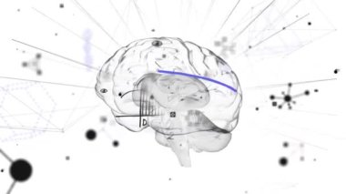 Moleküllerin veri işleme işlemini yaptığı parlayan insan beyni animasyonu. küresel teknoloji bilgi bağlantısı ağ konsepti dijital olarak oluşturulmuş görüntü.