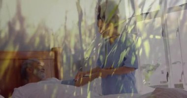 Rüzgarlı bir tarlada çim animasyonu. Hemşirenin hastanedeki erkek hastasını kontrol etmesi. Küresel tıp sağlık konsepti dijital bileşik.