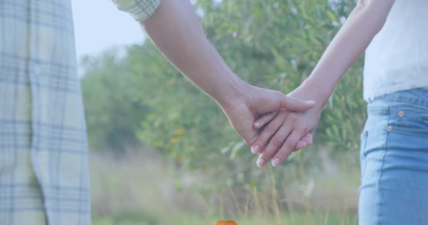 红心气球的动画飘浮在恋爱中的情侣中间 手牵着手 情人节快乐庆祝理念数码生成的图像 — 图库视频影像