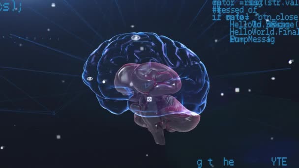 デジタルインターフェースデータ処理による輝く人間の脳のアニメーション 世界的な技術情報通信ネットワークの概念デジタル生成された画像 — ストック動画