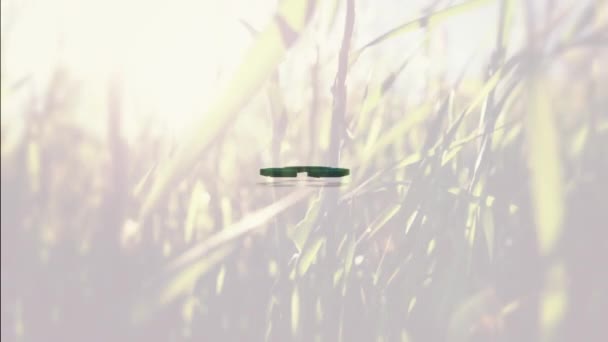 Animación Digital Verde Reciclar Símbolo Contra Hierba Que Mueve Viento — Vídeo de stock