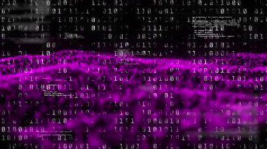 Soyut ağ üzerinde yüzen ve dalgalanan pembe noktalarla ikili kodlama işleminin animasyonu. küresel bağlantı bilim teknolojisi soyut ve hareket konsepti dijital olarak oluşturulmuş görüntü.