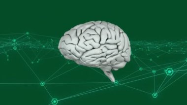 Yeşil arka planda insan beyniyle bağlantı ağının animasyonu. global teknoloji bağlantısı dijital arayüz konsepti dijital olarak oluşturulmuş görüntü.