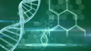 Yeşil arka planda DNA ipliği, tıbbi veri işleme ve kimyasal formüllerin animasyonu. Küresel bilim teknolojisi kavramı dijital olarak oluşturulmuş görüntü.