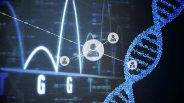 Bağlantılar ağı ve DNA yapısı siyah arkaplanda mavi ışık izlerine karşı dönüyor. küresel ağ oluşturma ve tıbbi araştırma kavramı.