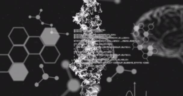 Animação Fita Dna Cérebro Humano Processamento Dados Médicos Estruturas Químicas — Vídeo de Stock