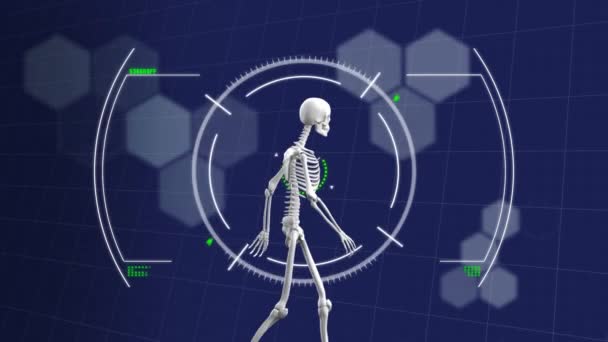 Animación Del Escaneo Del Microscopio Datos Médicos Sobre Esqueleto Humano — Vídeo de stock