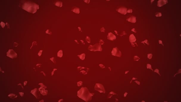 多瓣红玫瑰花瓣在红色背景上以慢动作坠落的动画效果 情人节庆祝理念数字化生成的图像 — 图库视频影像
